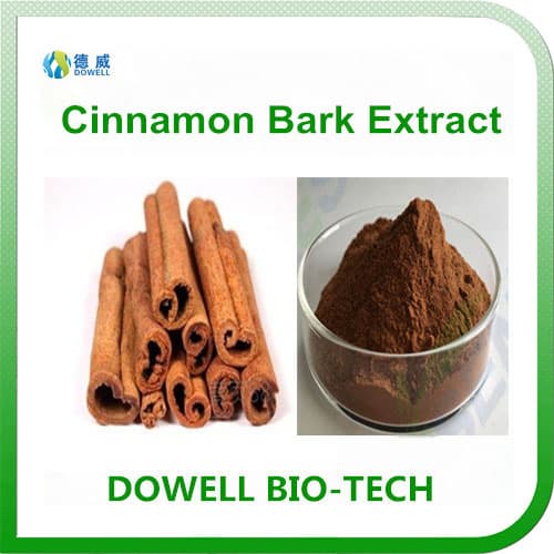 Pharmaceutical Raw Materials Cinnamon Bark Extract